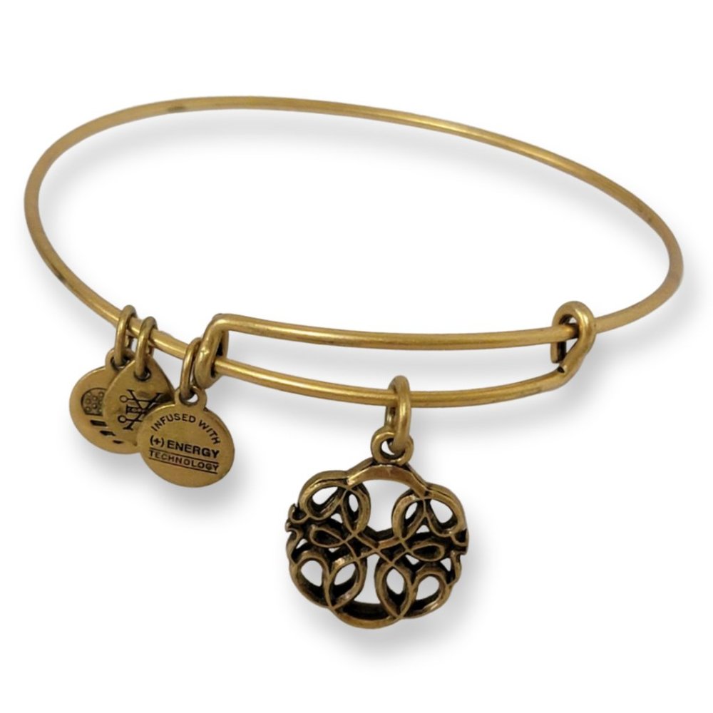 Alex & Ani Infinity Charm Bracelet